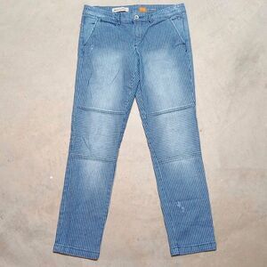 Pilcro & The Letterpress Hyphen Coastal Blue Stripe Straight Chino Pants 30x29